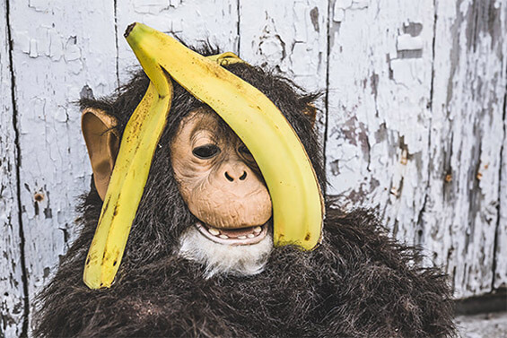 踏踏实实干活的网络攻击软件